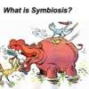 symbiosis: symbiosis in action